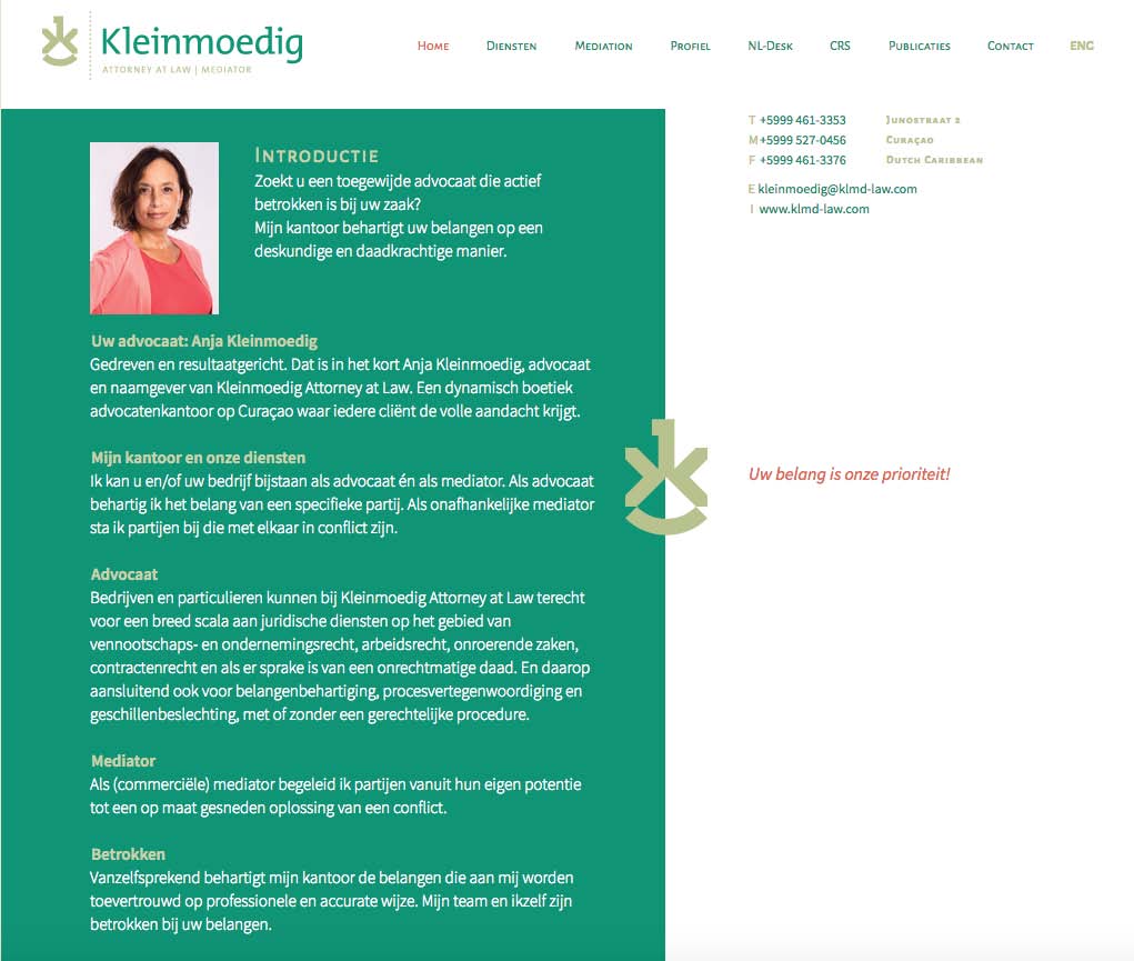 Website Kleinmoedig Attorney at Law - tekst